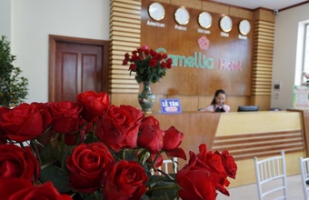camellia-hotel.jpg