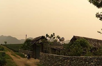 garden-rose-moc-chau.jpg
