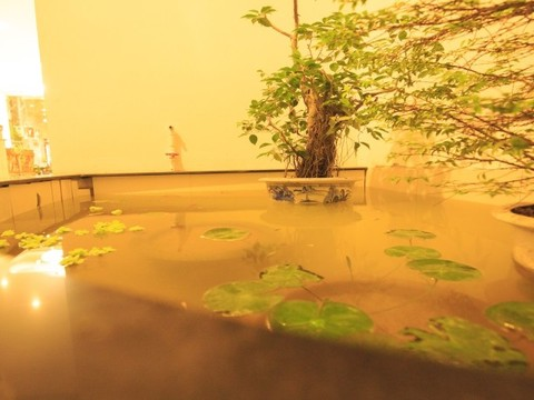 h8u1505708463_khach_san_mimosa.png