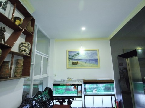 mxj1505708464_khach_san_mimosa.png