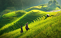 Hà Giang