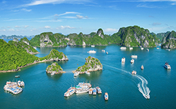 Hạ Long