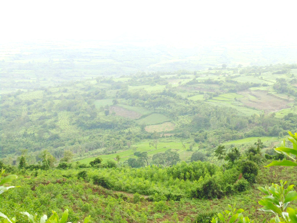 Cao nguyên Vân Hoà