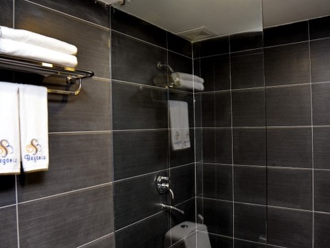 media/roomtypes/120220040920/gallery/khach-san-begonia-19.png
