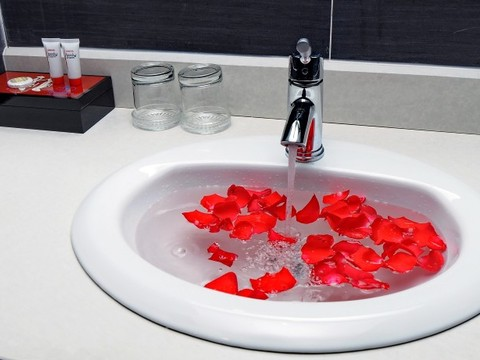 media/roomtypes/120220040920/gallery/khach-san-begonia-20.png