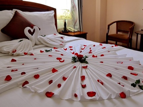 media/roomtypes/120220041018/gallery/khach-san-begonia-22.png