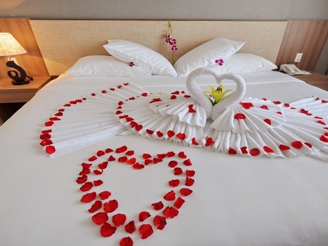 media/roomtypes/170220093456/gallery/khach_san_rigel_12.png