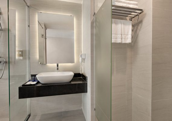 media/roomtypes/270421112909/gallery/dsv-va-ssv-scaled-570x400.jpg