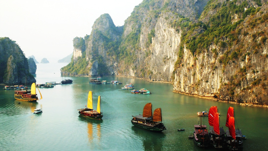 thue-cano-vinh-ha-long-quang-ninh-12-cho.jpg