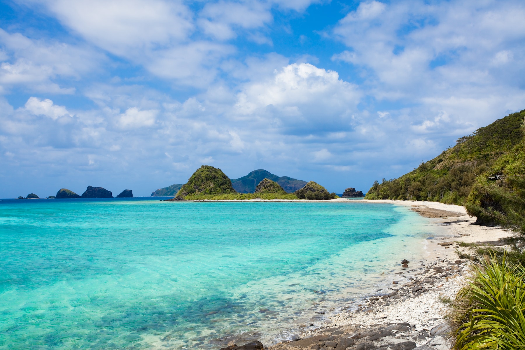 Thuê Cano Nha Trang 22 Chỗ - Hòn Mun - Hồ Cá - Bãi Tranh - Làng Chài