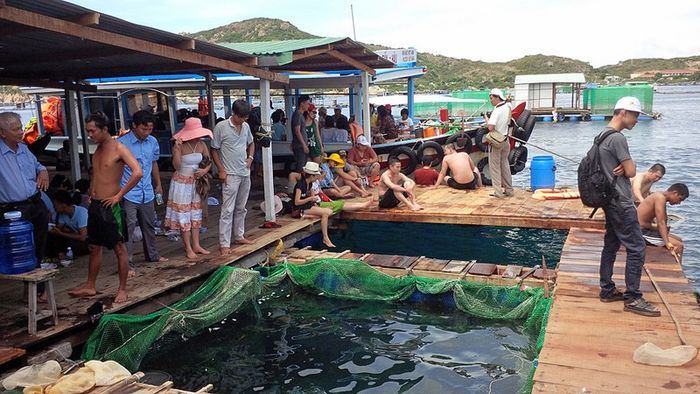 tour-nha-trang-3n2d-9.jpg
