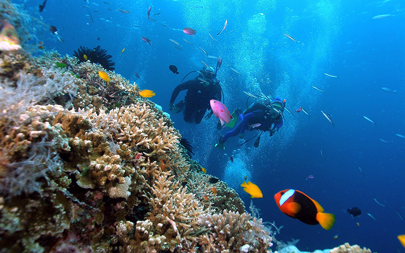 tour-lan-bien-hon-mun-5-1.jpg