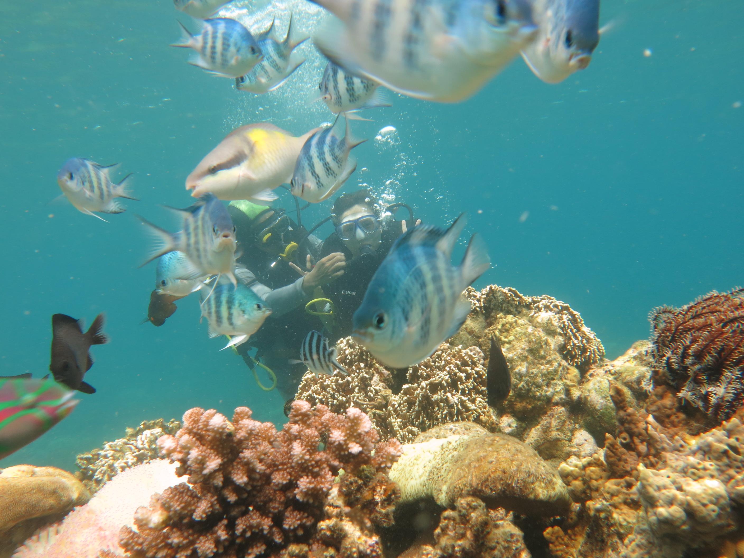 tour-lan-bien-nha-trang-2.jpg