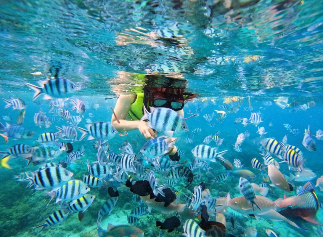 Lặn biển Nha Trang