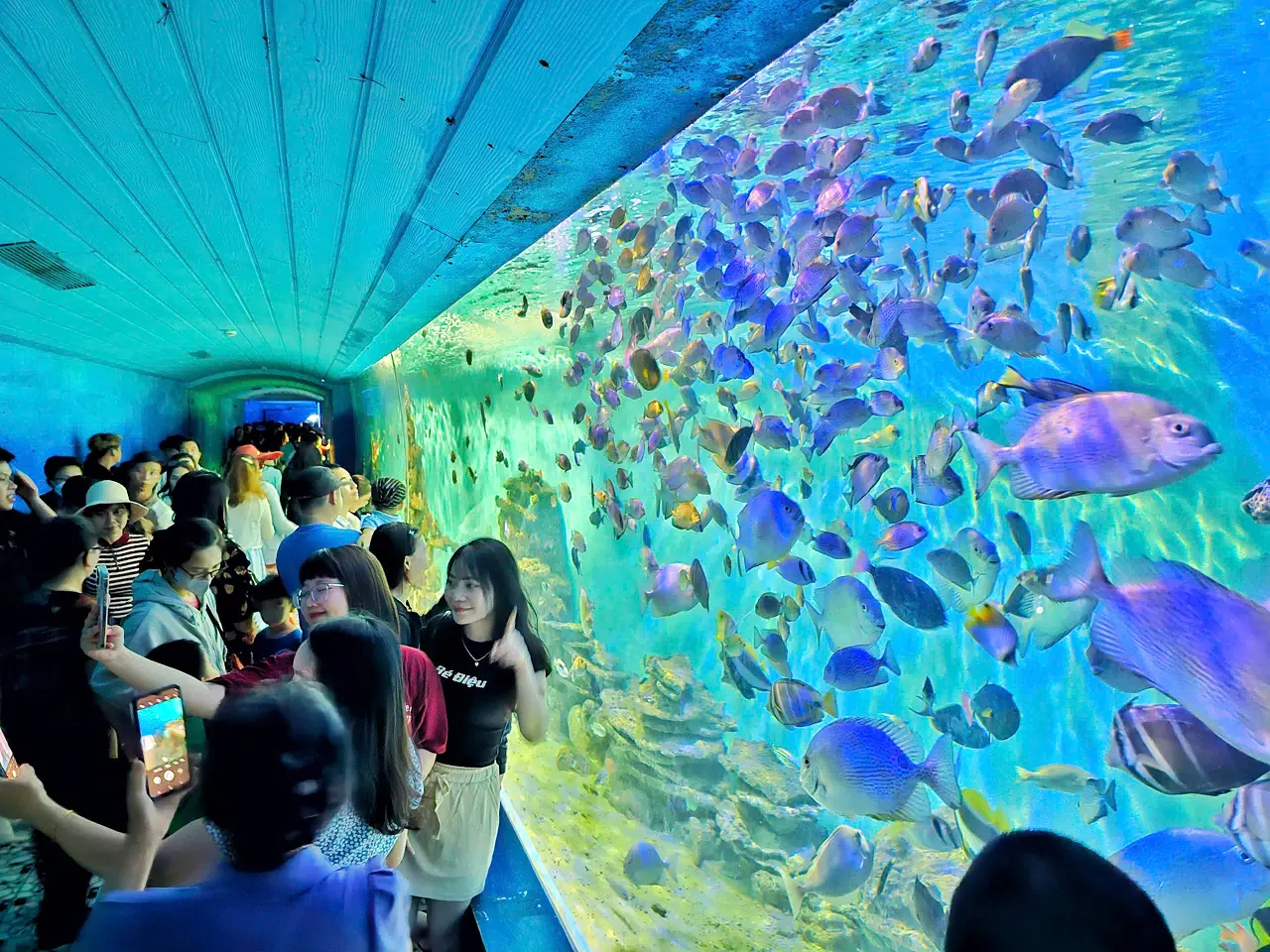 viện hải dương học nha trang