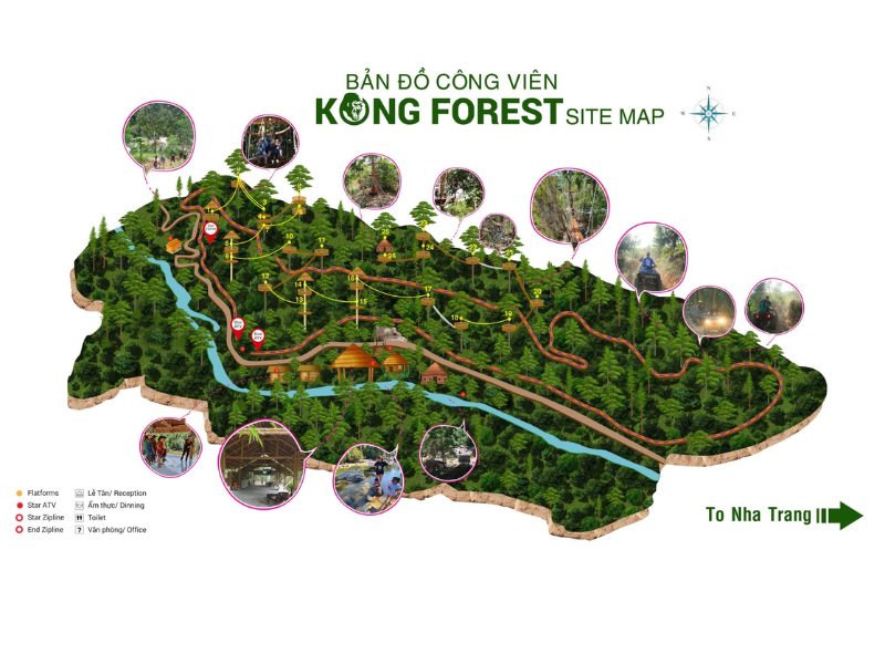 Bản đồ Kong Forest