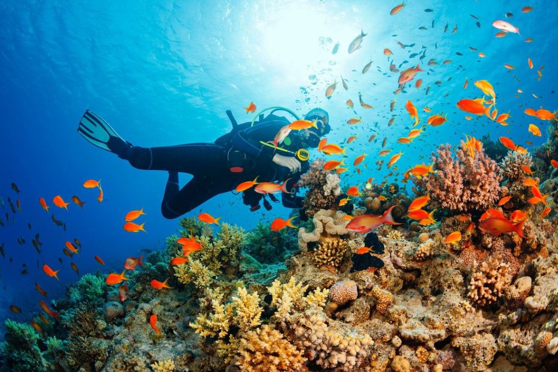 Scuba Diving - Lặn Bình Dưỡng Khí
