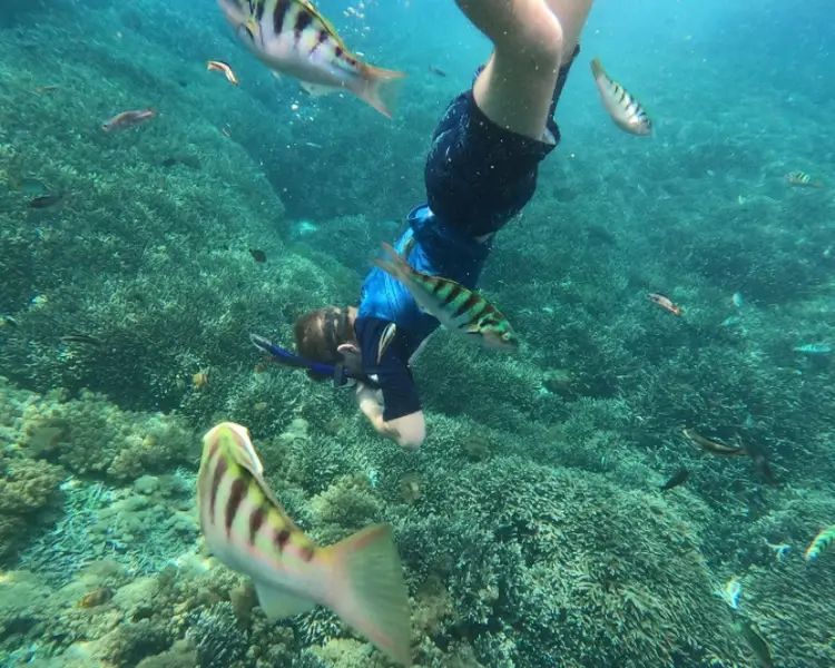 Snorkeling - Lặn Ống Thở