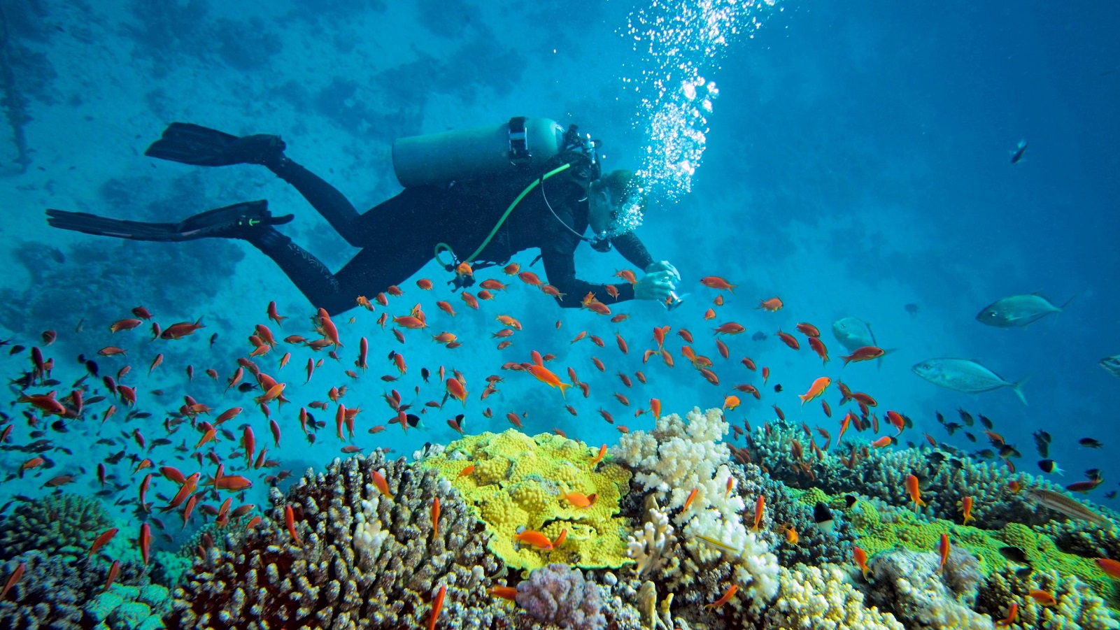 Lặn biển Nha Trang