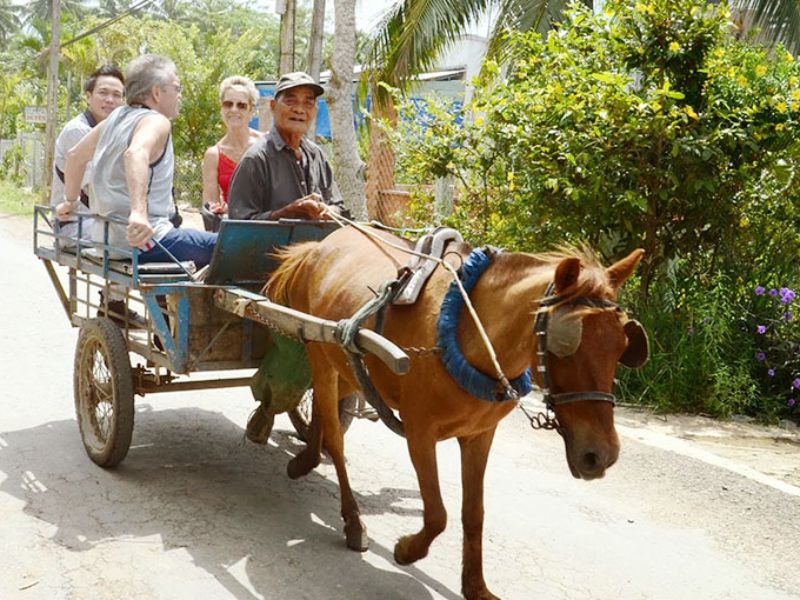 Xe ngựa đưa khách tham quan làng cổ
