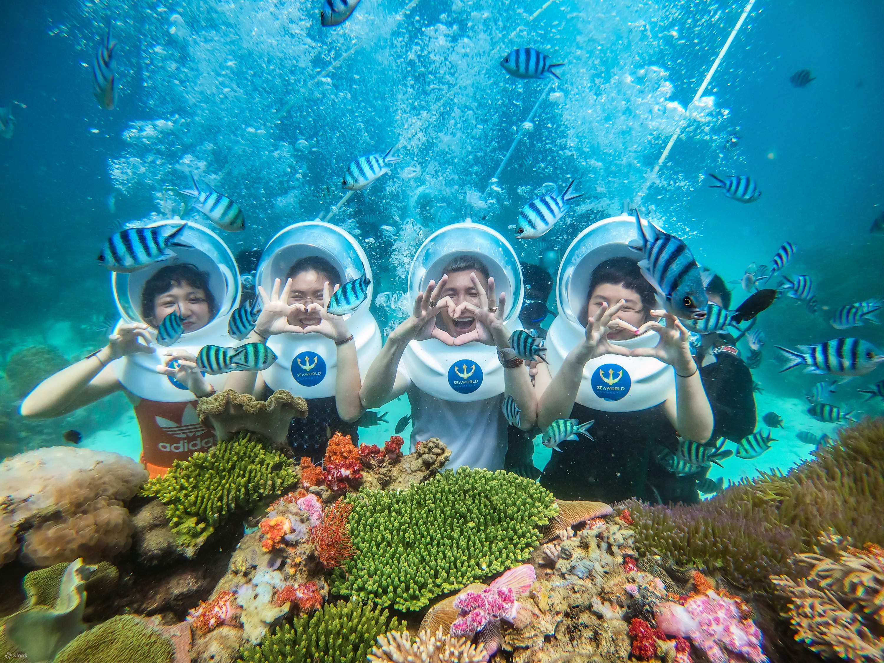 Vịnh San Hô Nha Trang