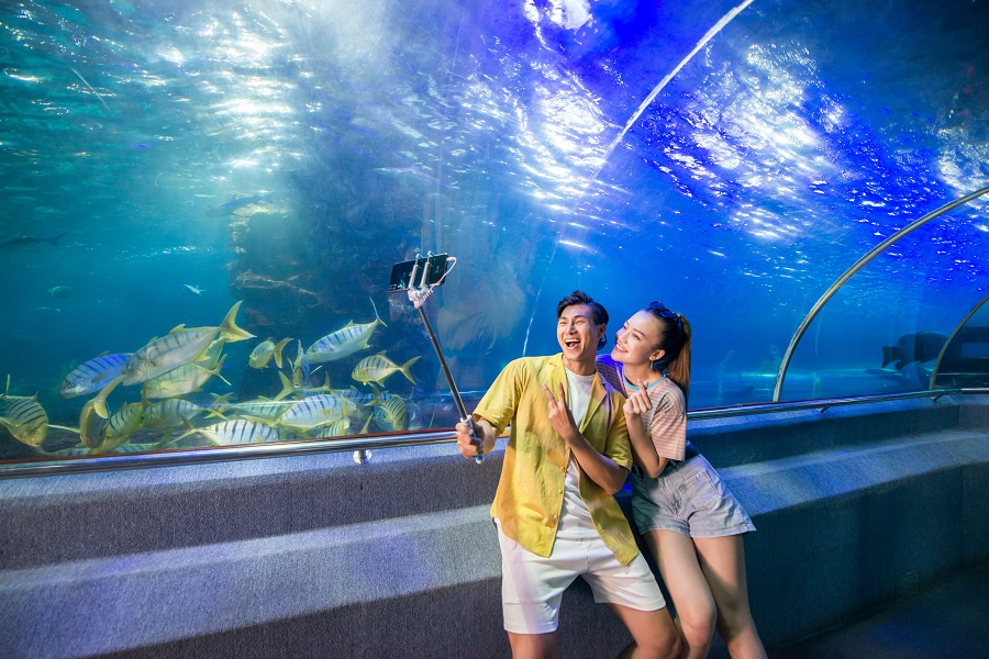 Thủy cung Vinwonders Nha Trang