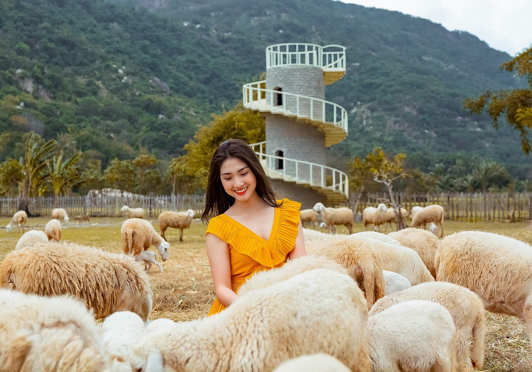 combo-nha-trang-2n1d-tour-dong-cuu-vuon-nho-tour-3-dao-vip-5-4.jpg